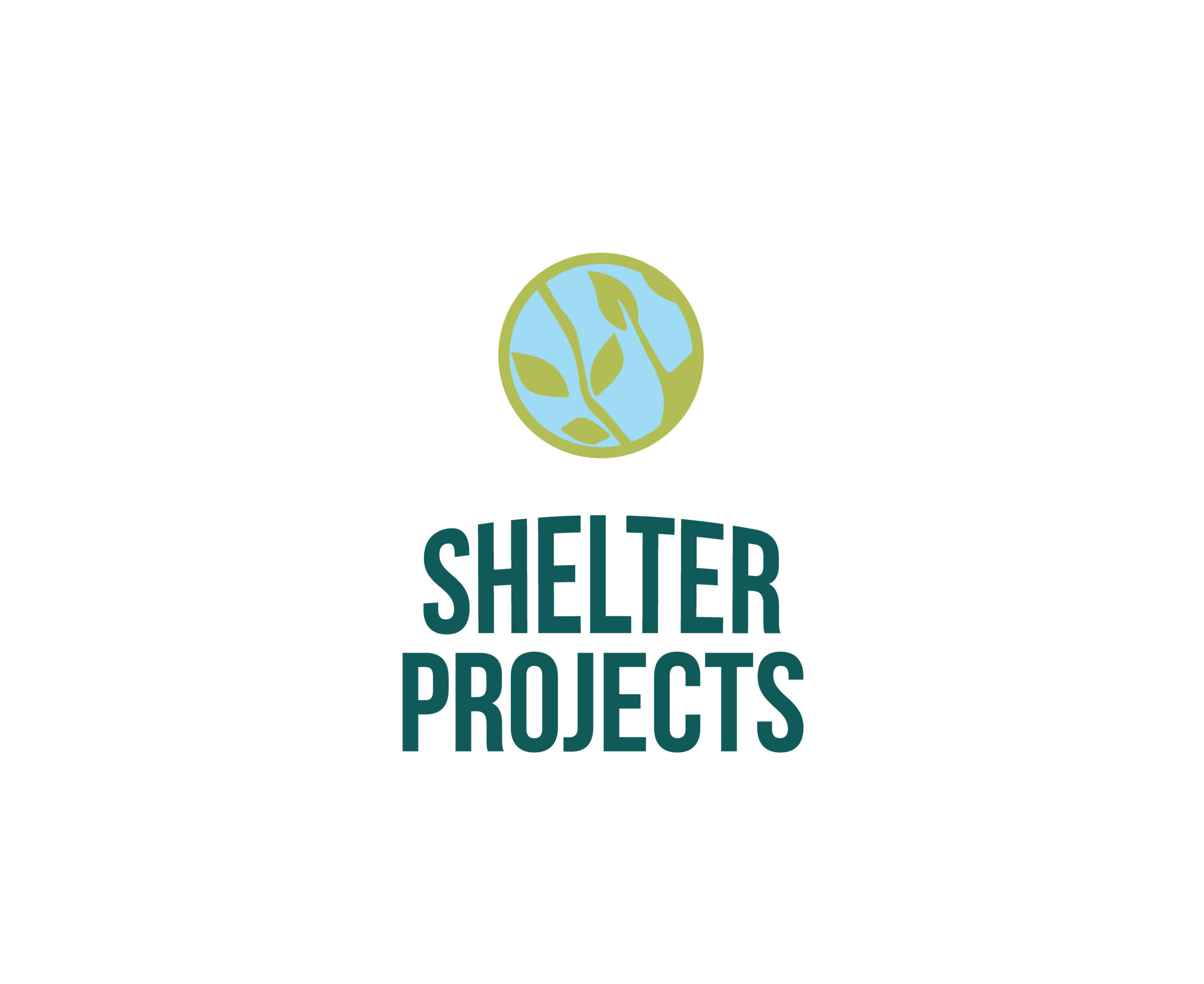 Shelter Projects