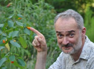 A man with gray hair and a beard points at an orange flower on a green plant in an outdoor setting.